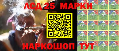 гидропоника Новокубанск