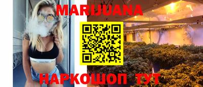 прущие грибы Новодвинск