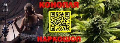 индика Обнинск